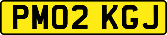 PM02KGJ