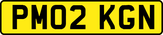 PM02KGN