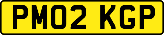PM02KGP
