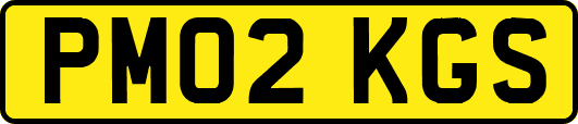 PM02KGS