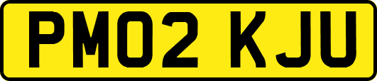 PM02KJU
