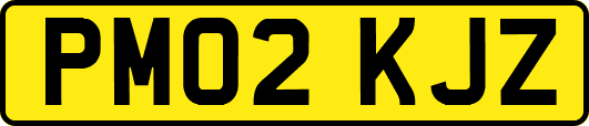 PM02KJZ