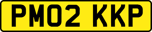 PM02KKP