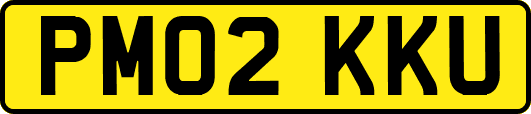 PM02KKU