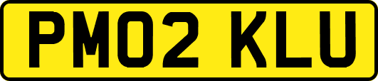 PM02KLU