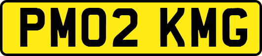 PM02KMG