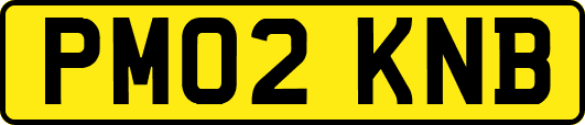 PM02KNB