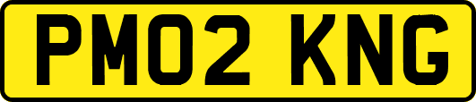 PM02KNG