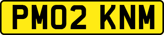 PM02KNM