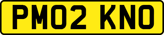 PM02KNO