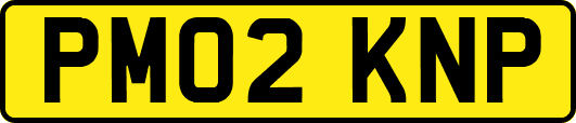 PM02KNP