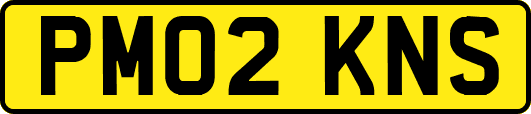 PM02KNS