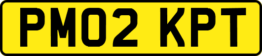 PM02KPT
