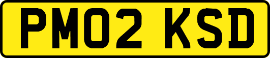PM02KSD