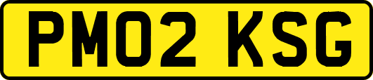 PM02KSG