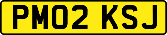 PM02KSJ