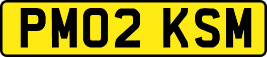 PM02KSM