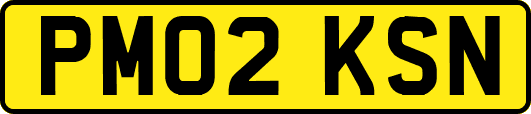 PM02KSN