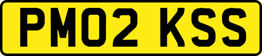 PM02KSS