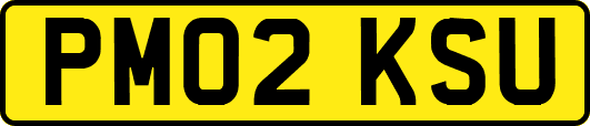 PM02KSU