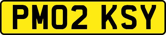 PM02KSY