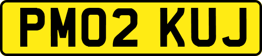 PM02KUJ
