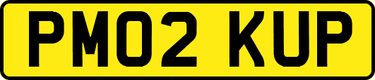 PM02KUP