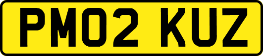 PM02KUZ