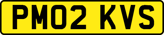 PM02KVS