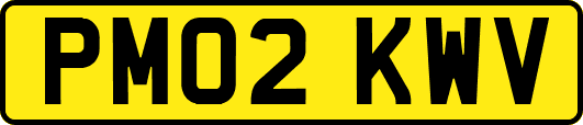 PM02KWV