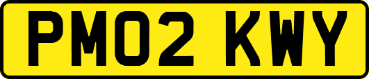PM02KWY