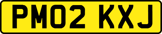 PM02KXJ