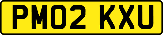 PM02KXU