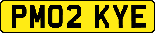 PM02KYE