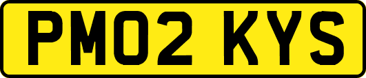 PM02KYS