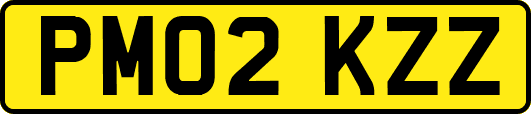 PM02KZZ