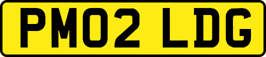 PM02LDG