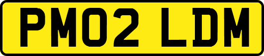 PM02LDM