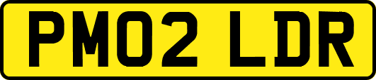 PM02LDR