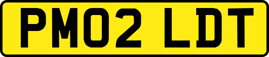 PM02LDT