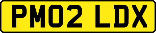 PM02LDX