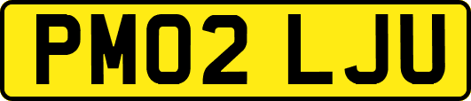 PM02LJU