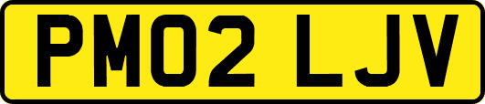 PM02LJV