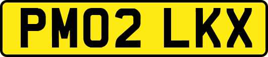 PM02LKX