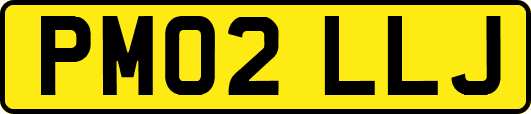PM02LLJ