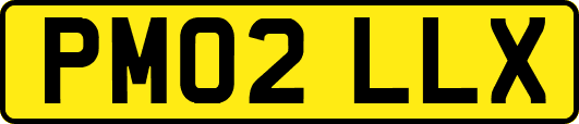 PM02LLX