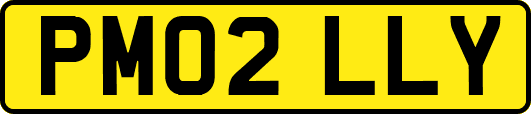 PM02LLY