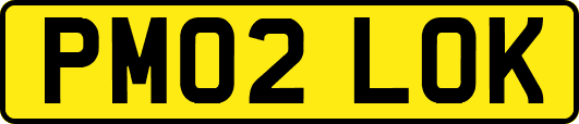 PM02LOK