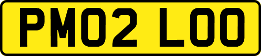 PM02LOO