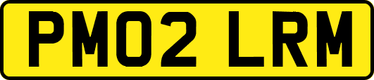 PM02LRM